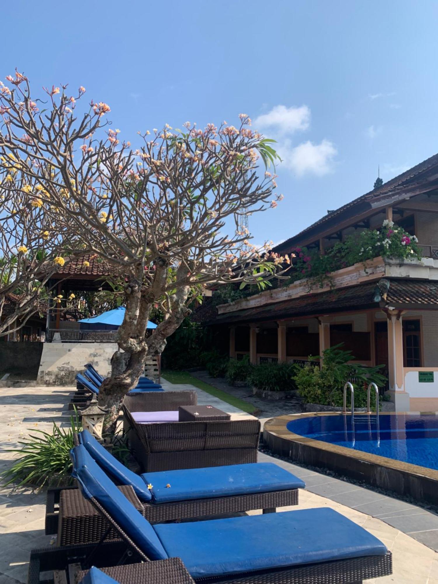 Fat Yogi Cottages Kuta Lombok Esterno foto