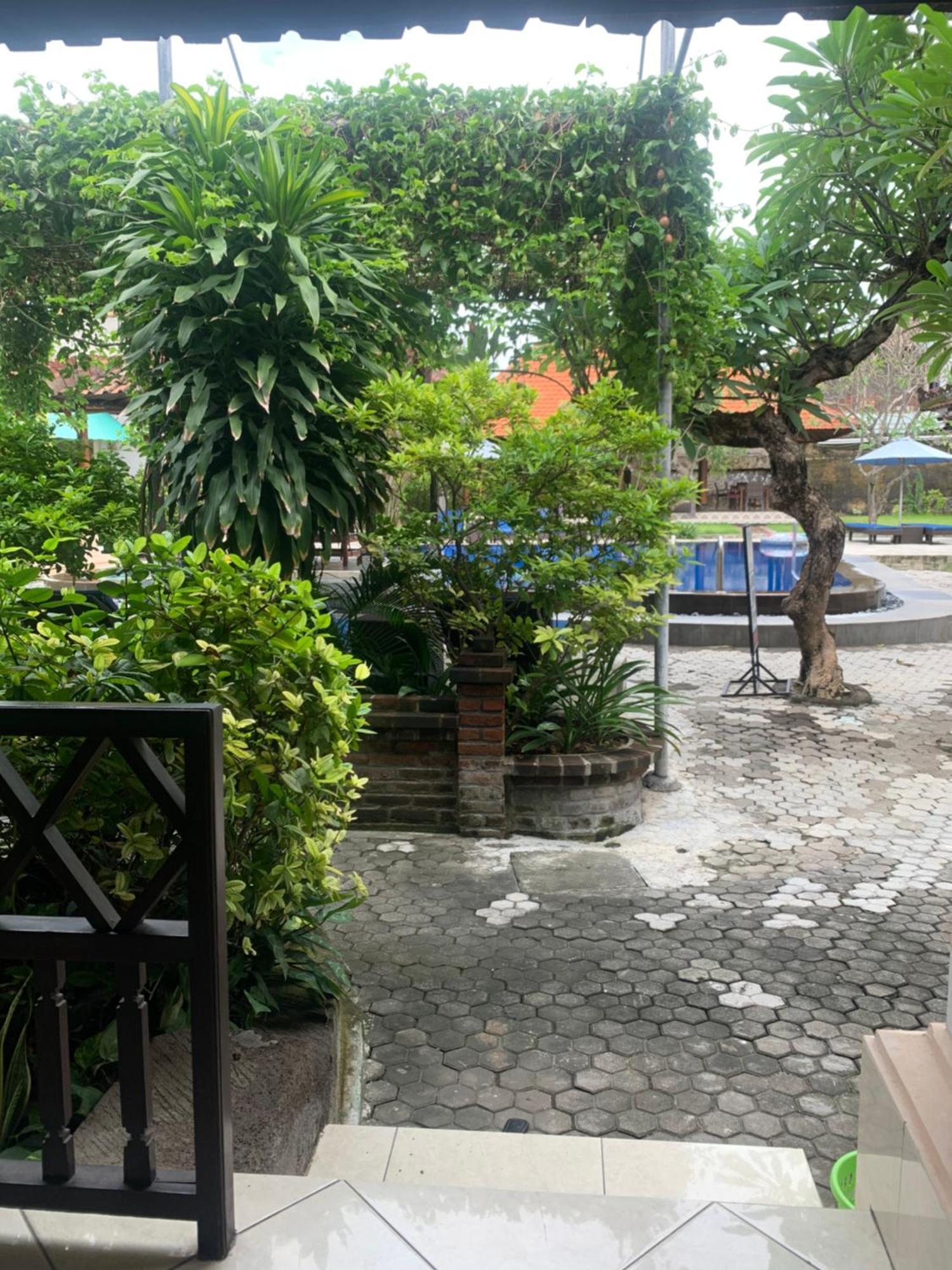 Fat Yogi Cottages Kuta Lombok Esterno foto